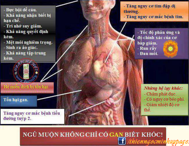 Ngủ muộn không chỉ gan biết khóc